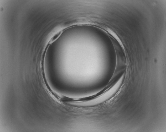 X0000085071197200703051358