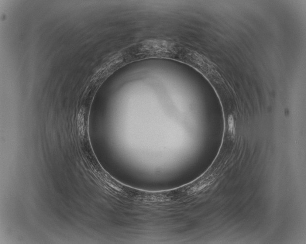 X0000085071203200703051357