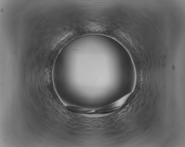 X0000085071205200703051357