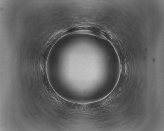 X0000085071206200703051357