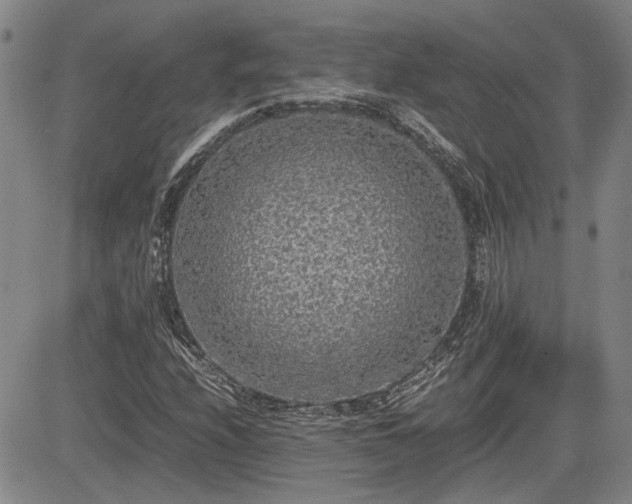 X0000085071208200703051357