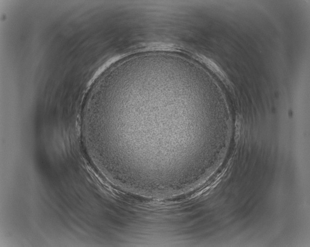 X0000085071212200703051358