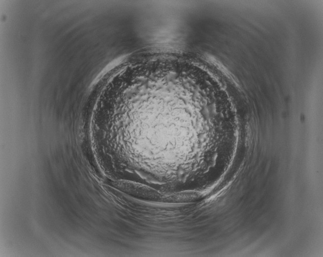 X0000085071213200703051358