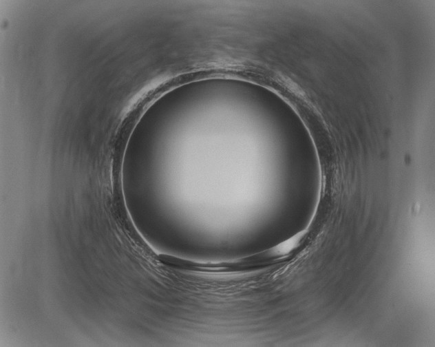 X0000085071214200703051358