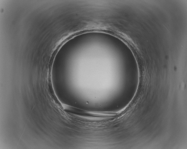 X0000085071220200703051358