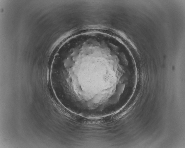 X0000085071221200703051358