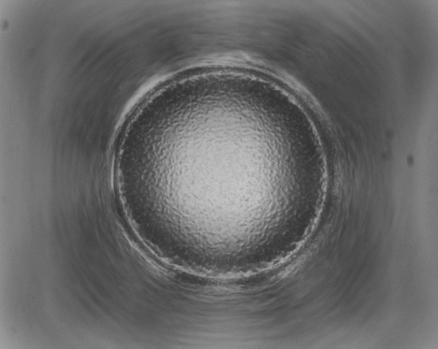 X0000085071224200703051358