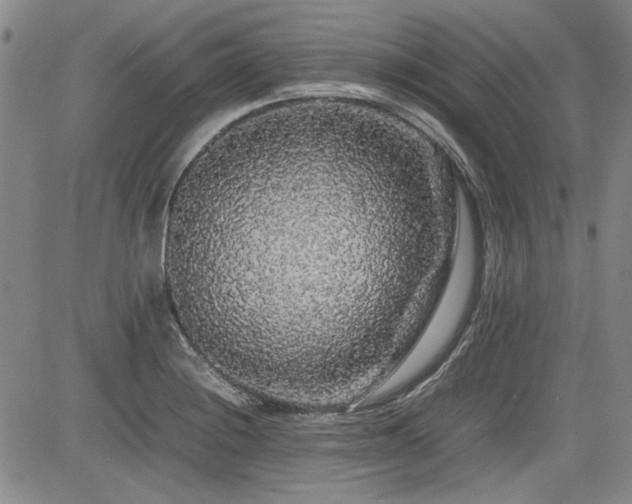 X0000085071228200703051358
