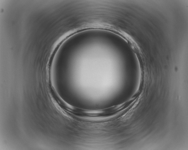 X0000085071238200703051358