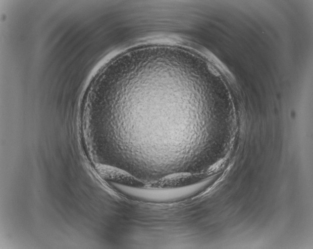 X0000085071240200703051358