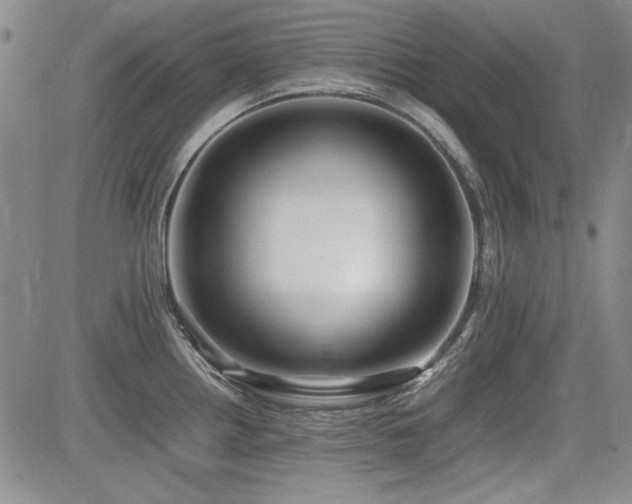 X0000085071242200703051358