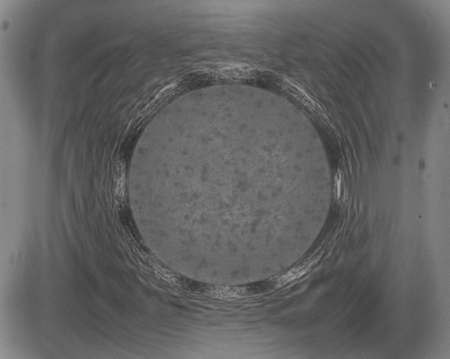 X0000085071251200703051357