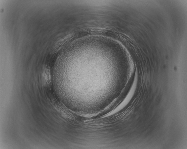 X0000085071252200703051357