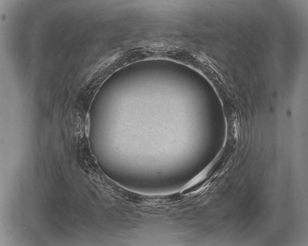X0000085071253200703051357