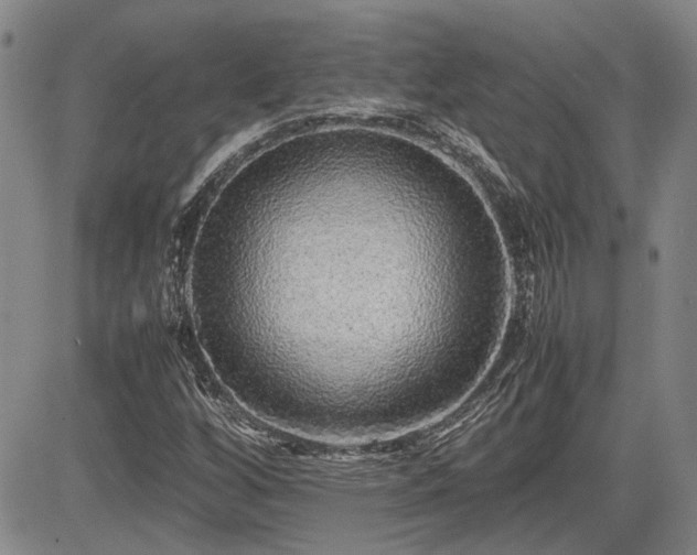 X0000085071256200703051357