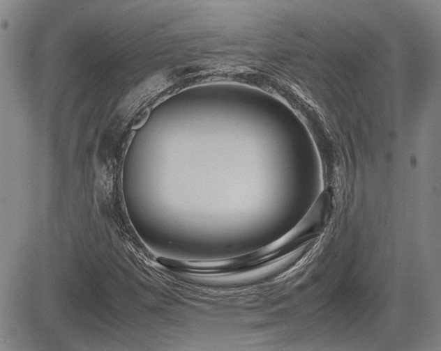 X0000085071257200703051357