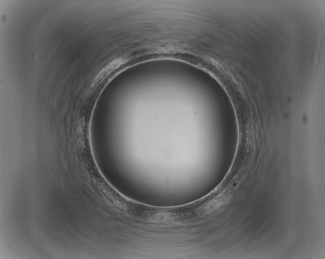 X0000085071265200703051357