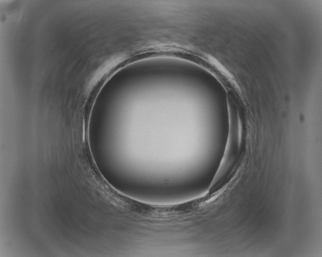 X0000085071269200703051357