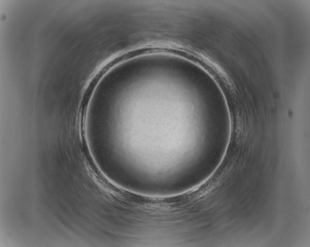 X0000085071272200703051357