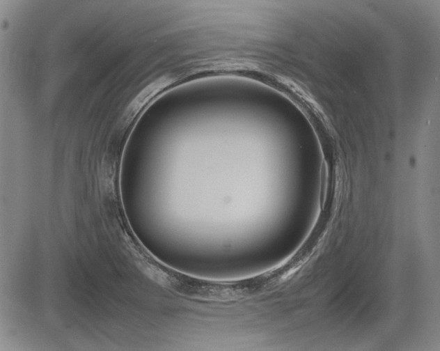 X0000085071273200703051357