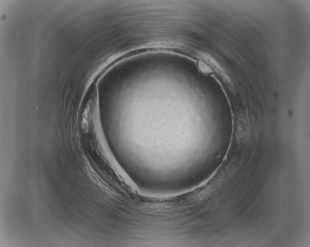 X0000085071276200703051357