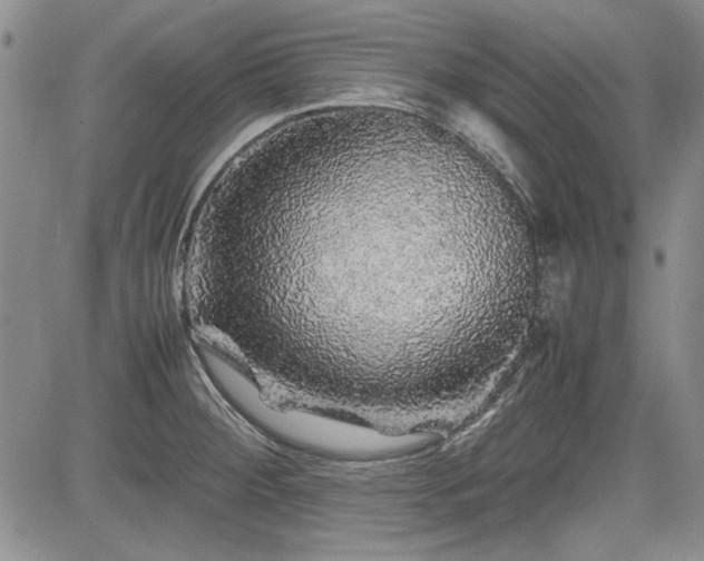 X0000085071284200703051357