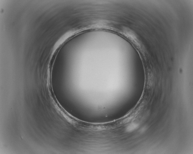 X0000085071286200703051357