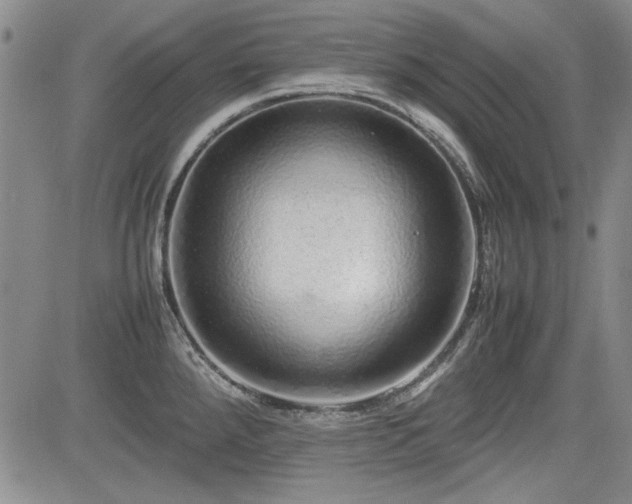 X0000085071288200703051357