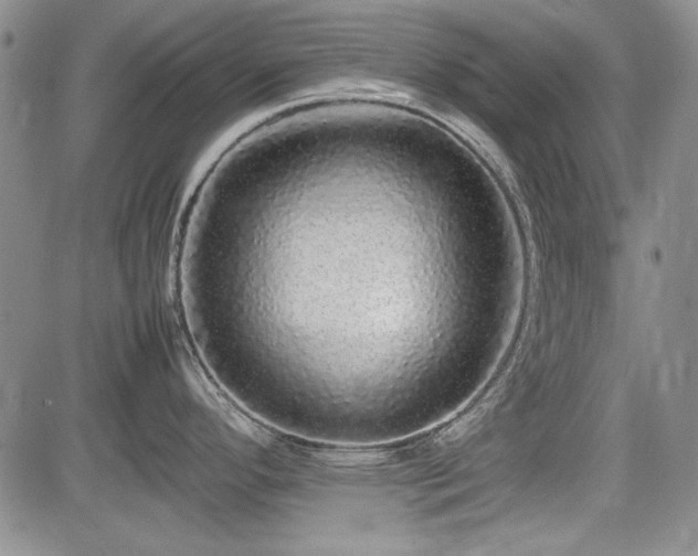 X0000085071296200703051357