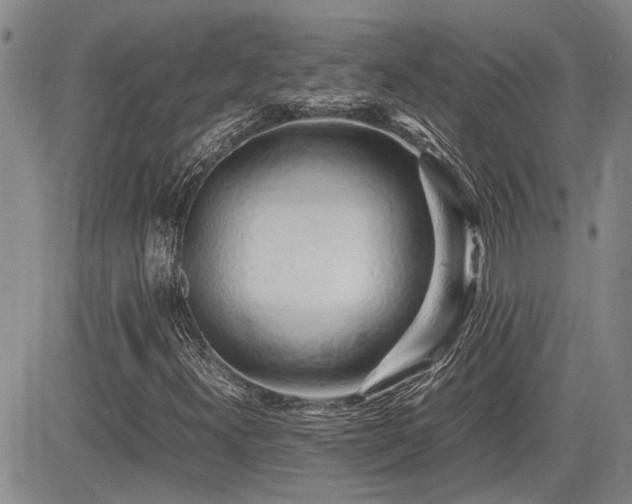 X0000085071300200703051356