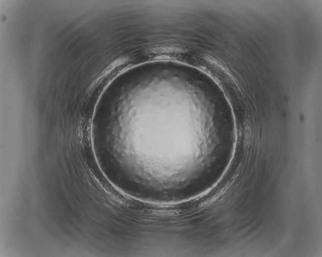 X0000085071305200703051356