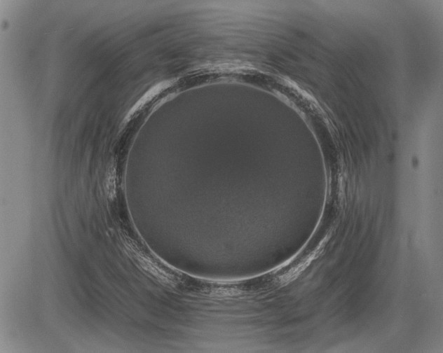 X0000085071306200703051356