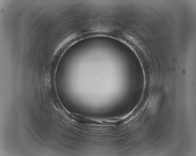 X0000085071307200703051356