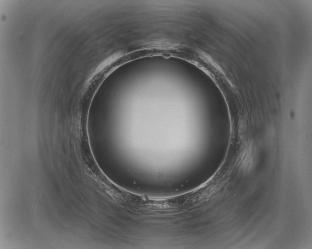 X0000085071315200703051356