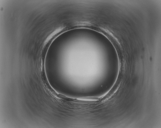 X0000085071317200703051356