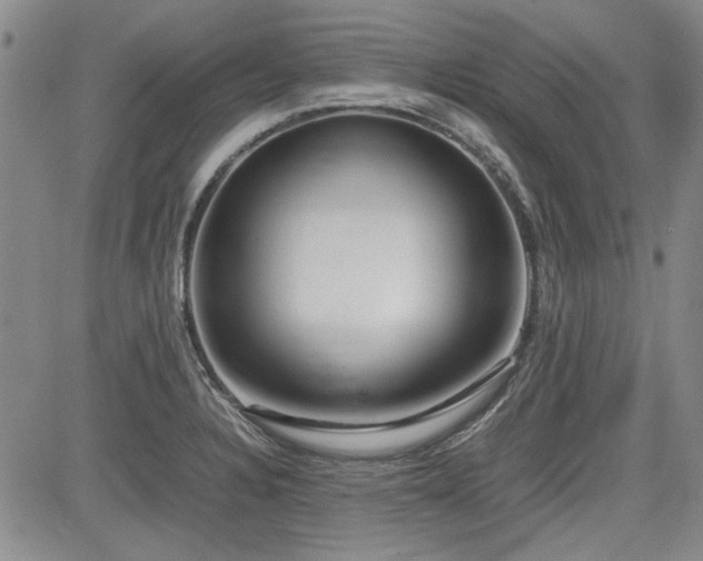 X0000085071328200703051356