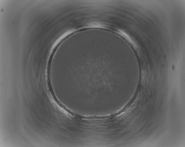 X0000085071331200703051356