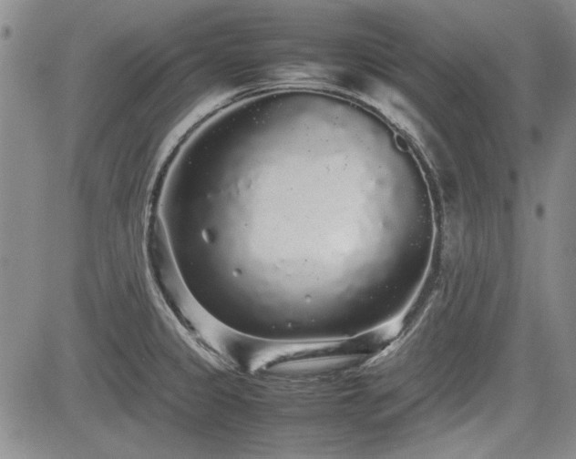 X0000085071333200703051356
