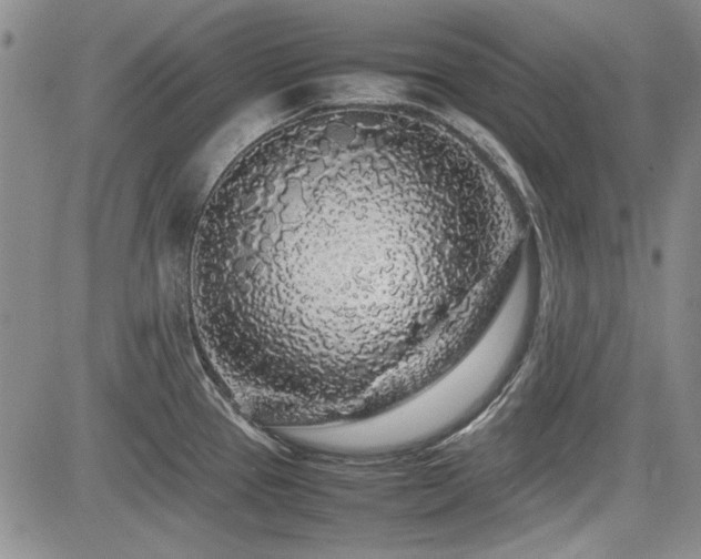 X0000085071337200703051356