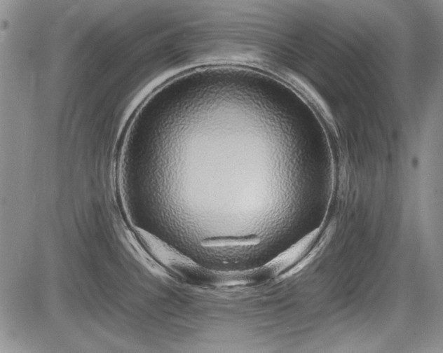 X0000085071340200703051356