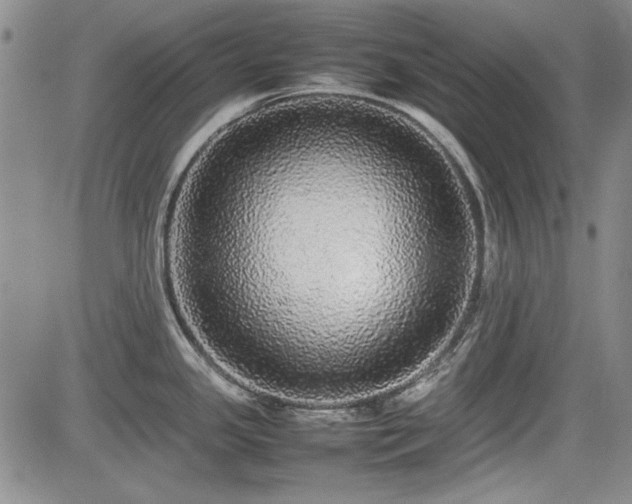 X0000085071341200703051356
