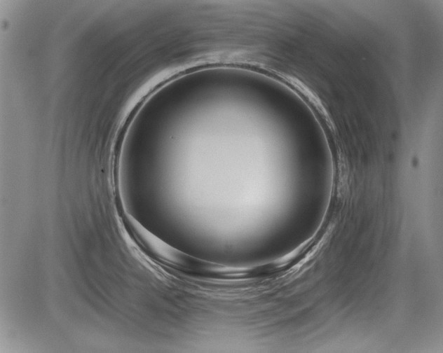 X0000085071342200703051357