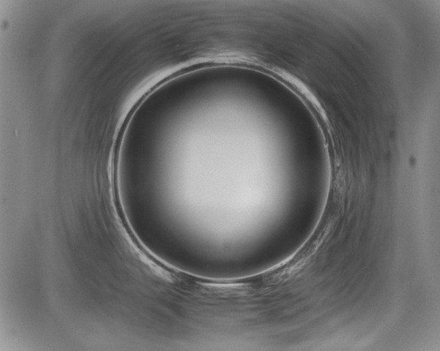 X0000085071343200703051357