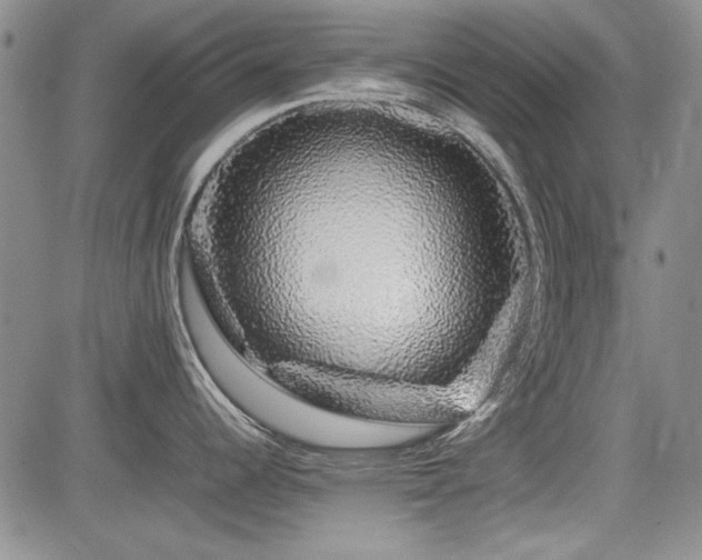 X0000085071344200703051357