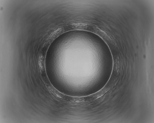 X0000085071346200703051356