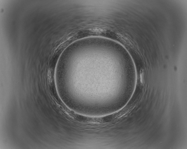 X0000085071347200703051356