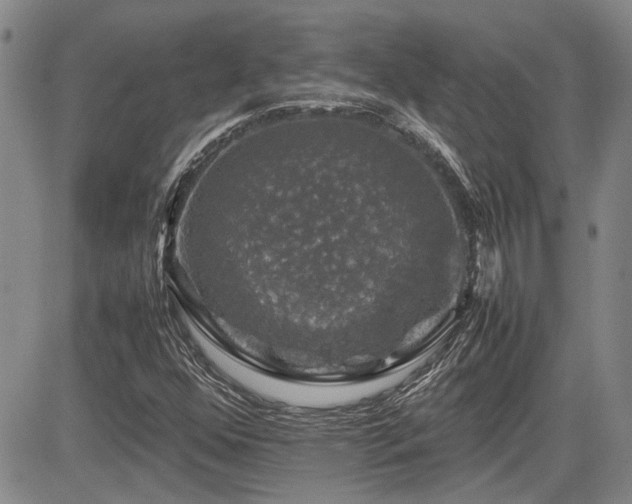 X0000085071352200703051356