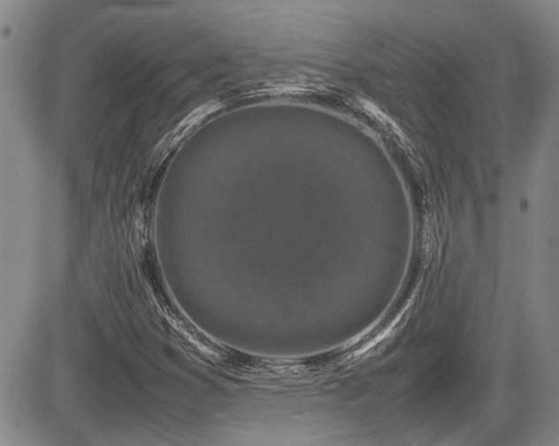 X0000085071353200703051356