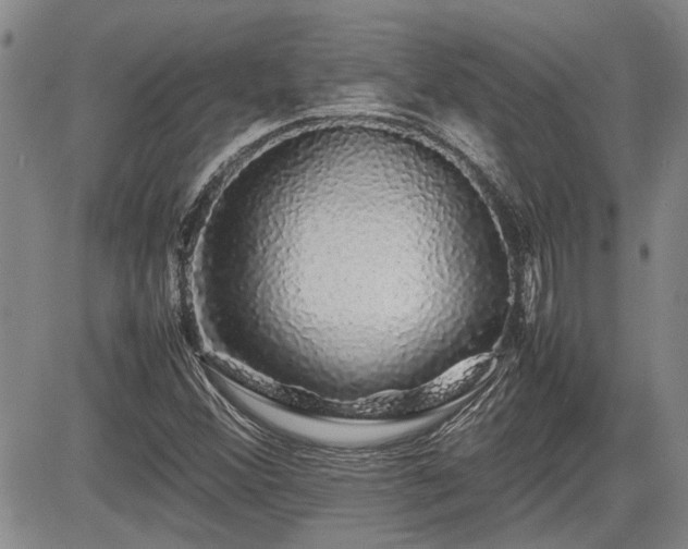 X0000085071356200703051356
