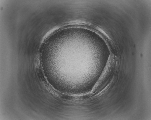 X0000085071358200703051356